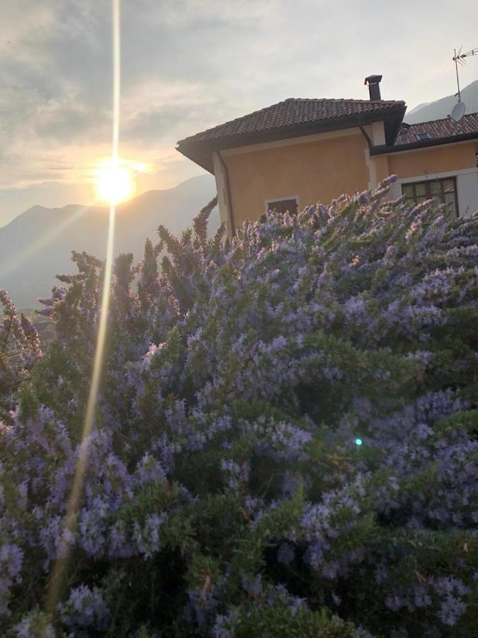 La Villa Degli Orti Borgo Valsugana Exterior foto